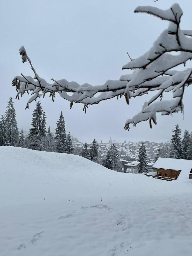 Ferienwohnung 3,5 Zimmer Direkt An Ski- Und Bikepiste Flims Exterior foto